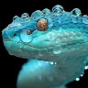 Meet your Posher, Ethan